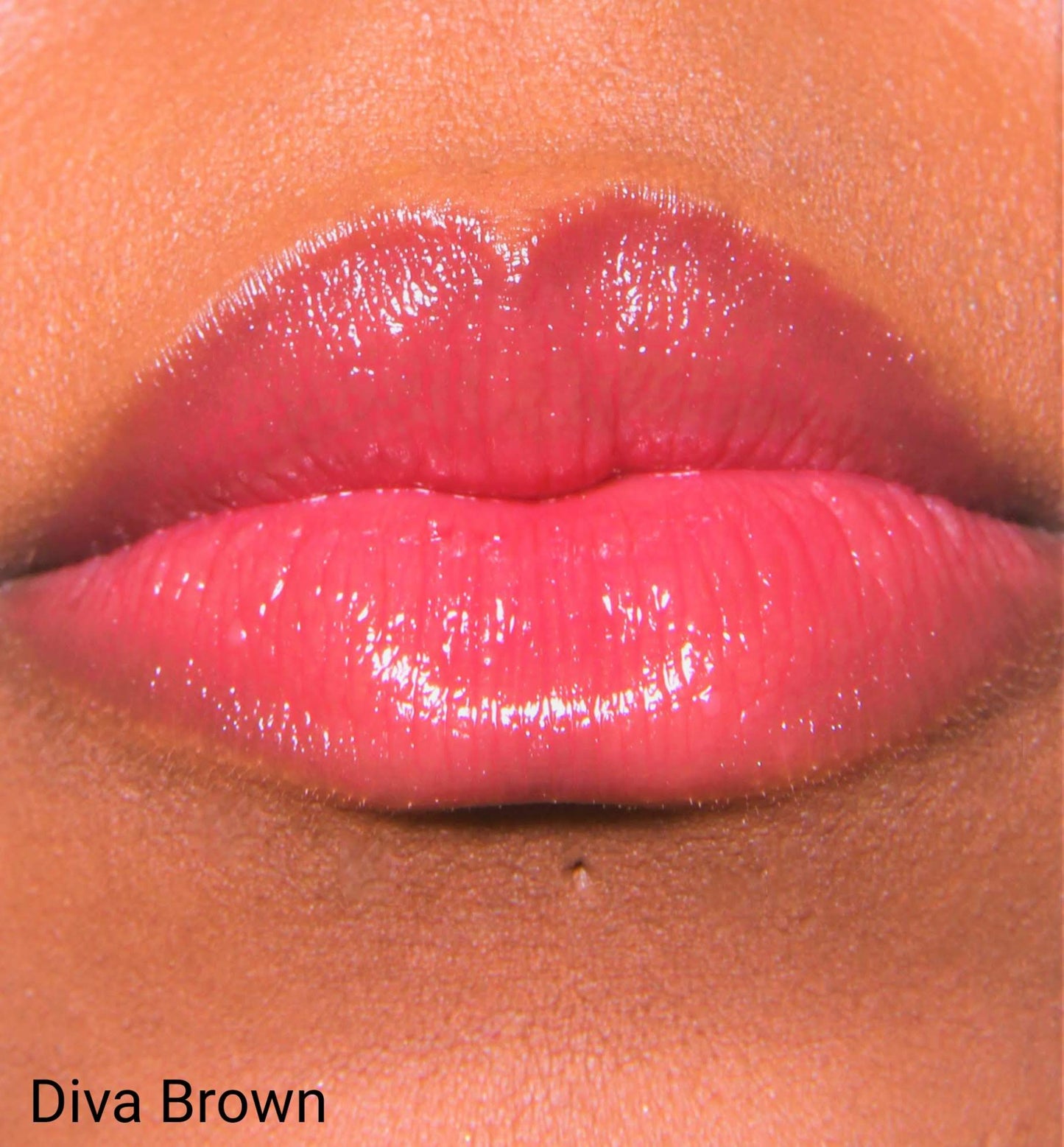 LOT1531 Lip Gloss